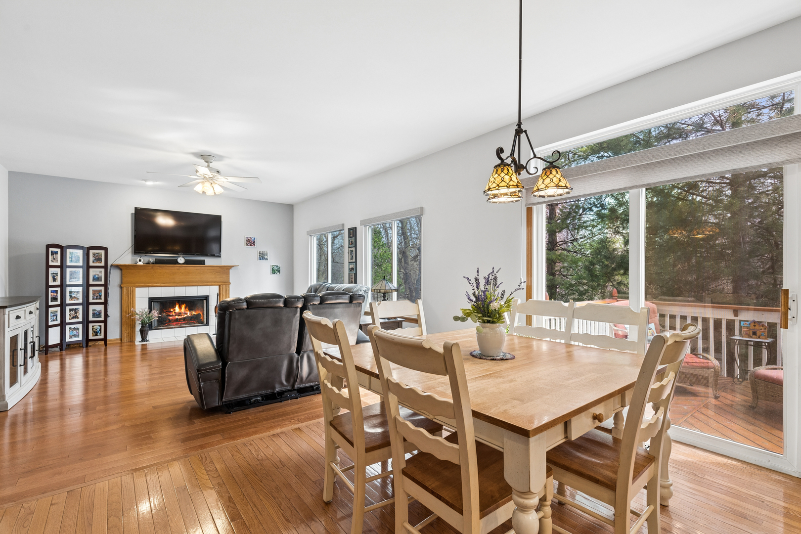 411 Oak Grove Circle, Wauconda, IL 60084