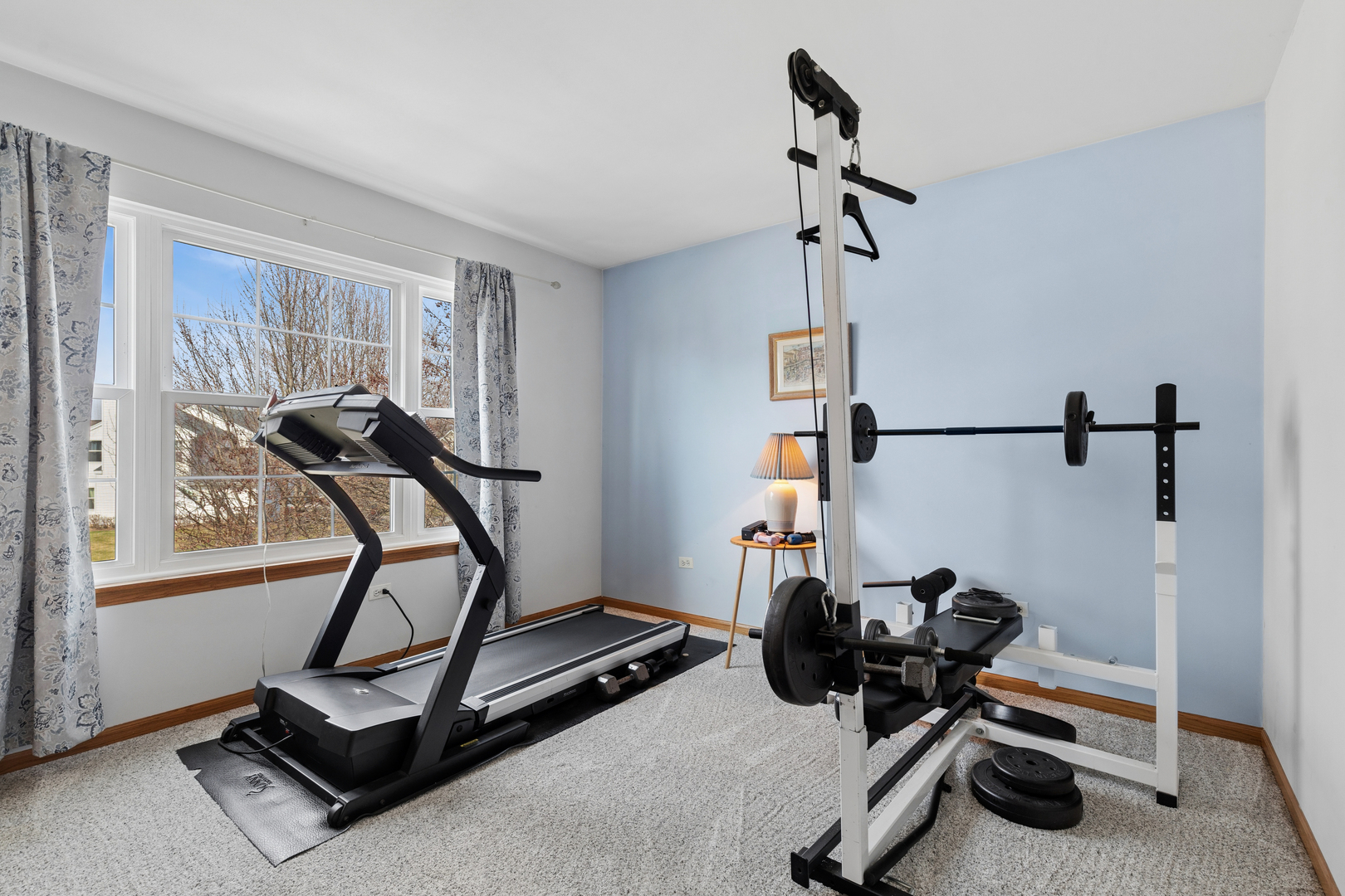 411 Oak Grove Circle, Wauconda, IL 60084