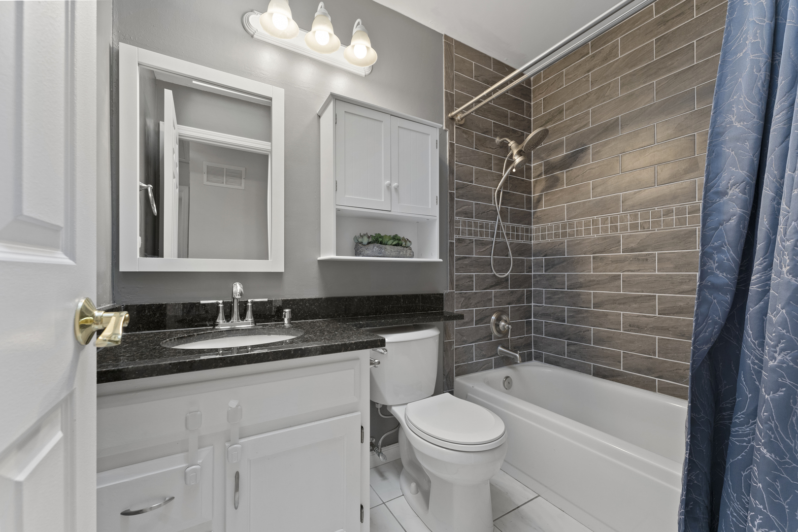 309 Plymouth Lane, Bloomingdale, IL 60108