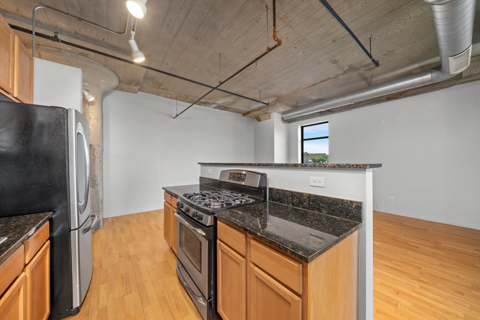 1550 S Blue Island Avenue #404, Chicago, IL 60608