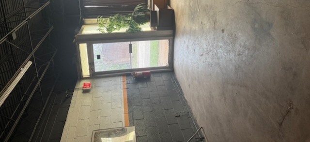 11 N Chase Avenue, Lombard, IL 60148