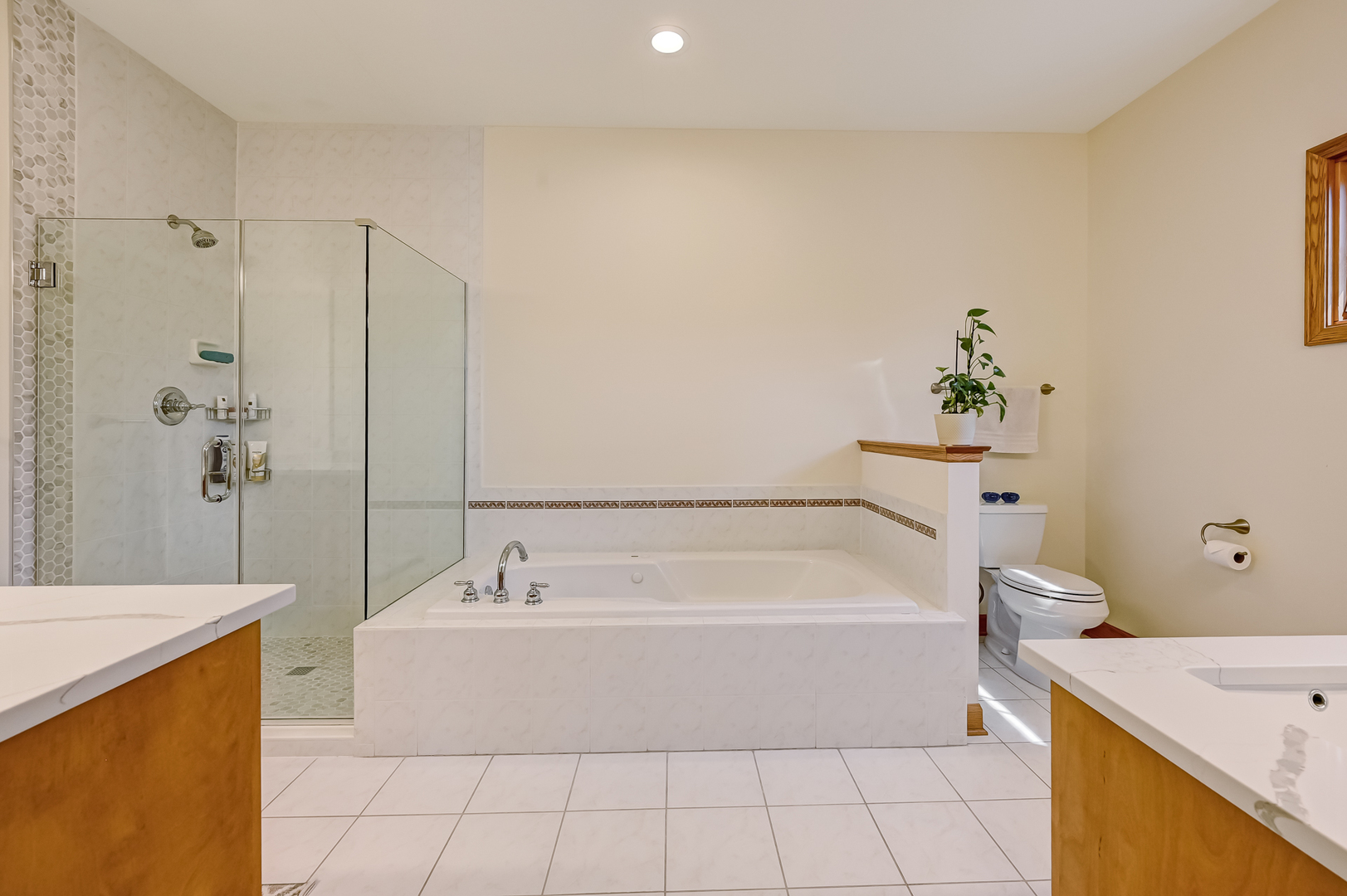 61 Berkshire Court, Burr Ridge, IL 60527