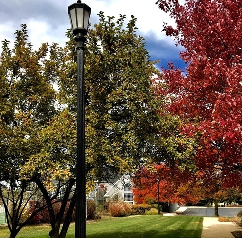 Bloomingdale, IL 60108