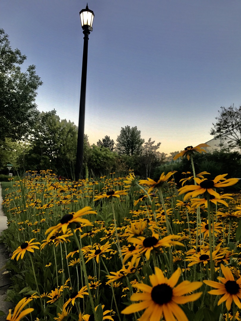 Bloomingdale, IL 60108