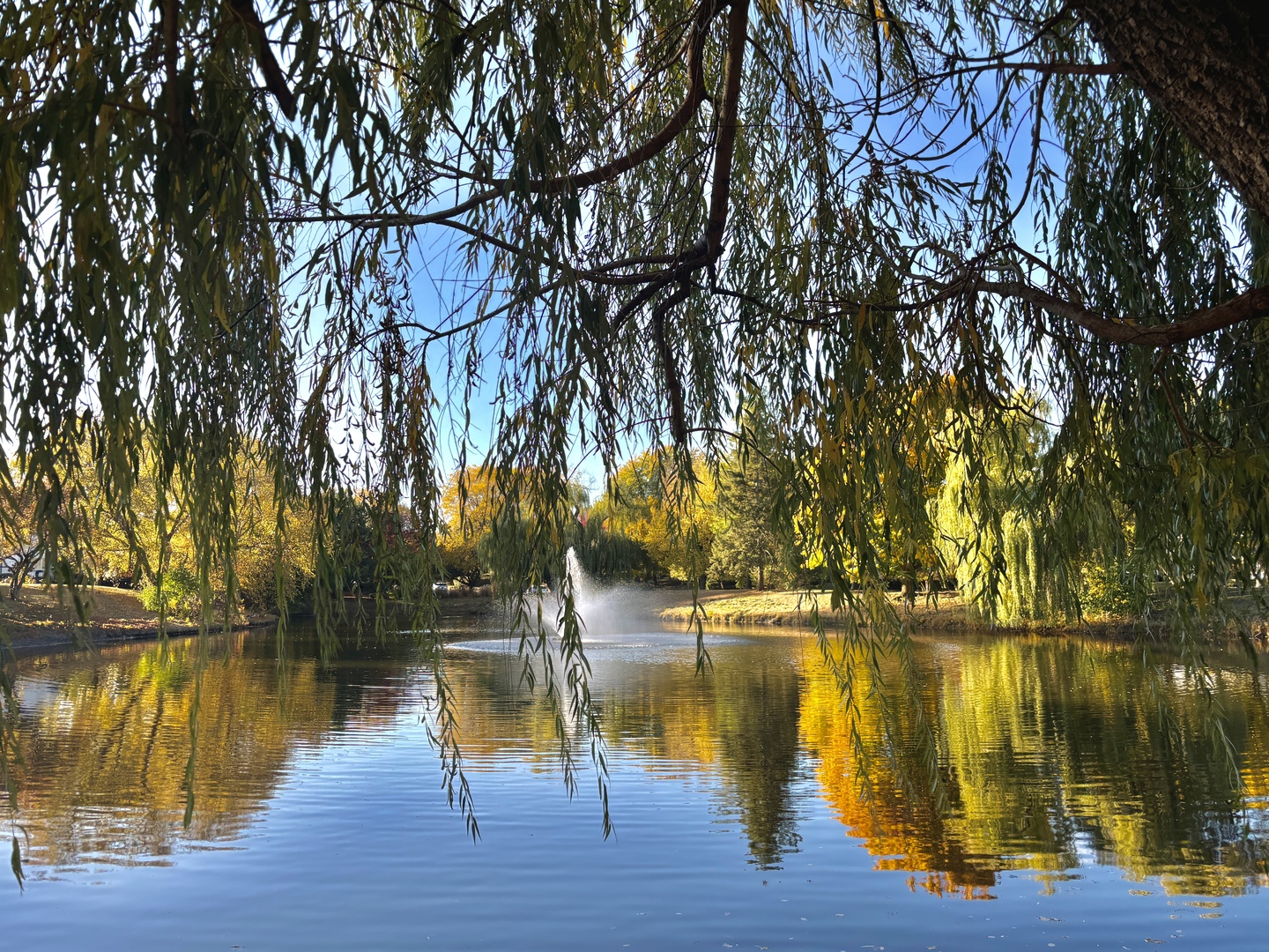 Bloomingdale, IL 60108