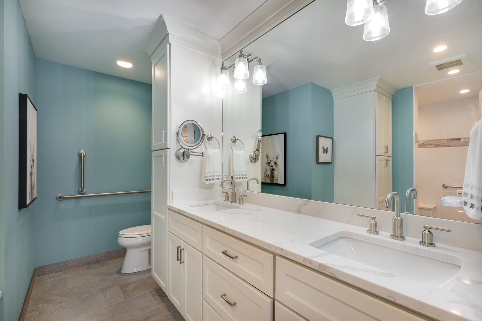 933 Wheaton Oaks Drive, Wheaton, IL 60187