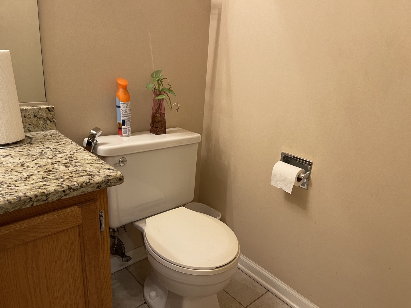 2872 CEDAR GLADE Drive, Naperville, IL 60564