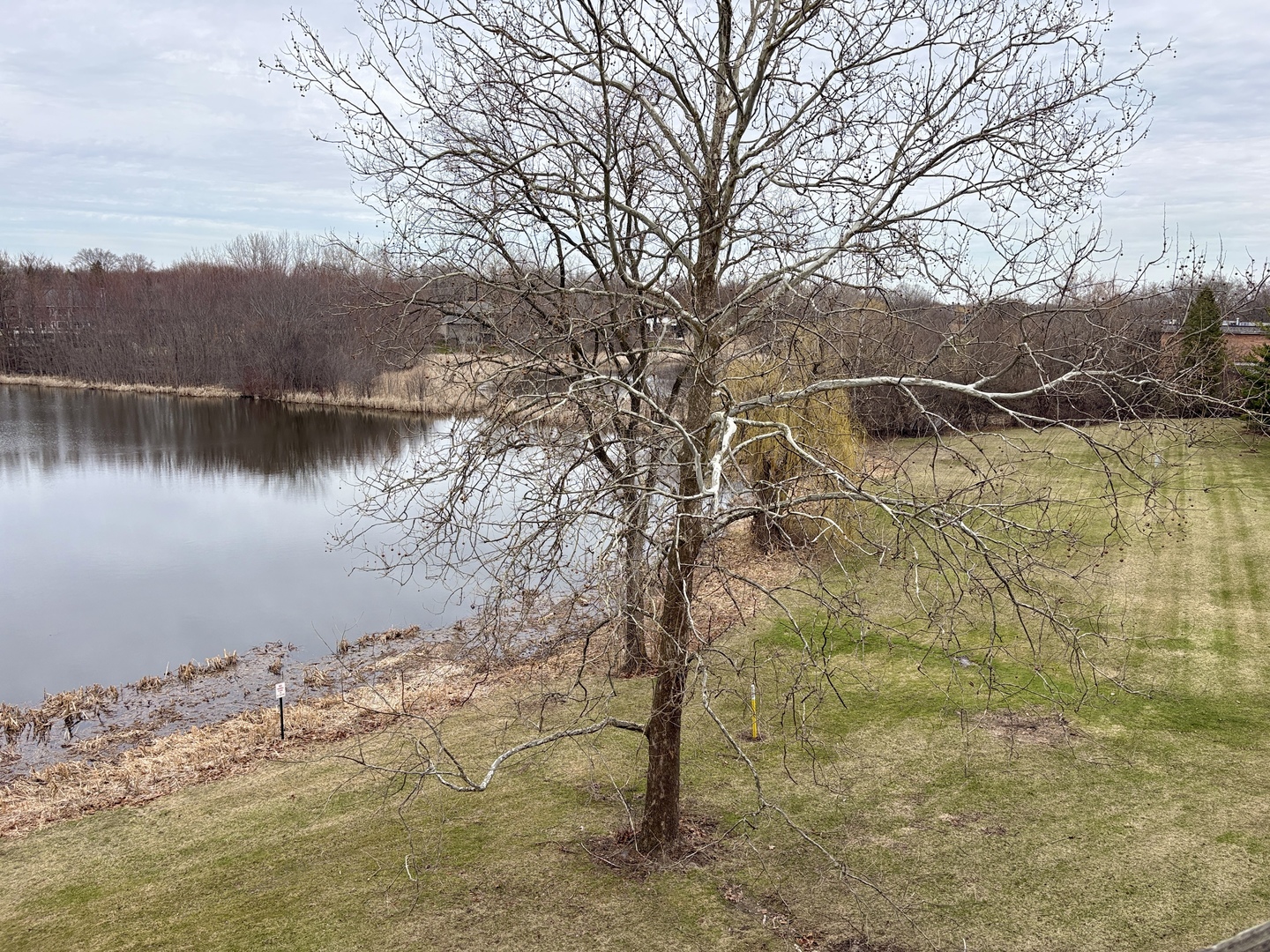 505 Redondo Drive #407, Downers Grove, IL 60516