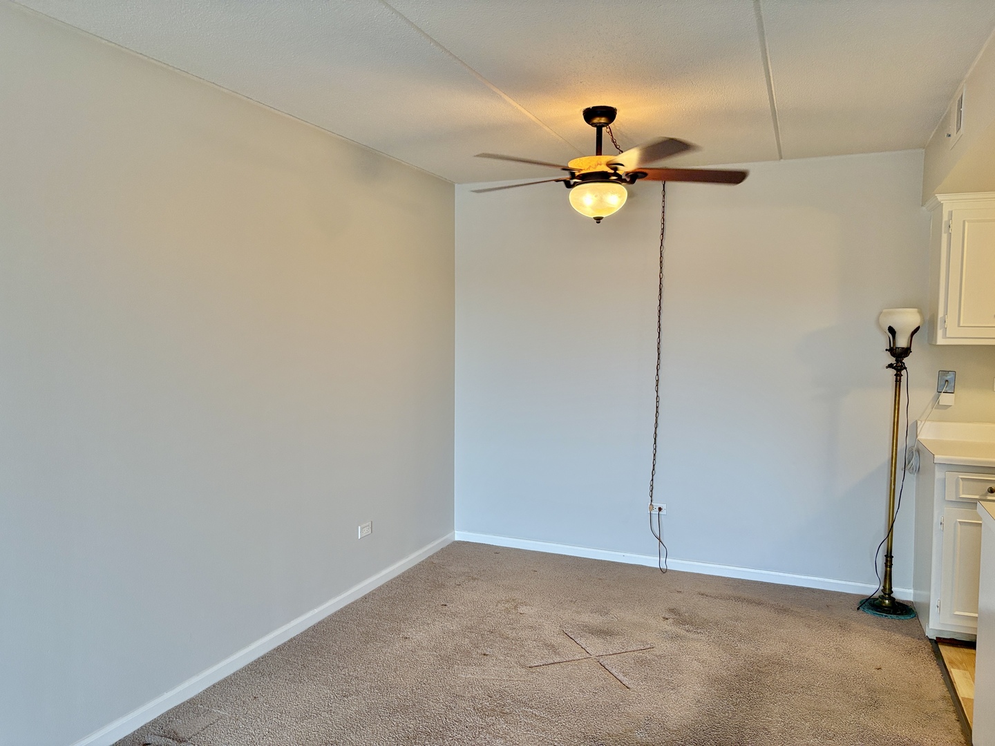 505 Redondo Drive #407, Downers Grove, IL 60516