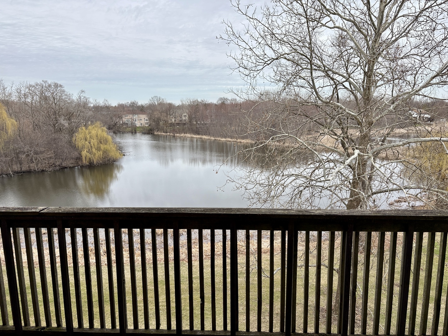 505 Redondo Drive #407, Downers Grove, IL 60516