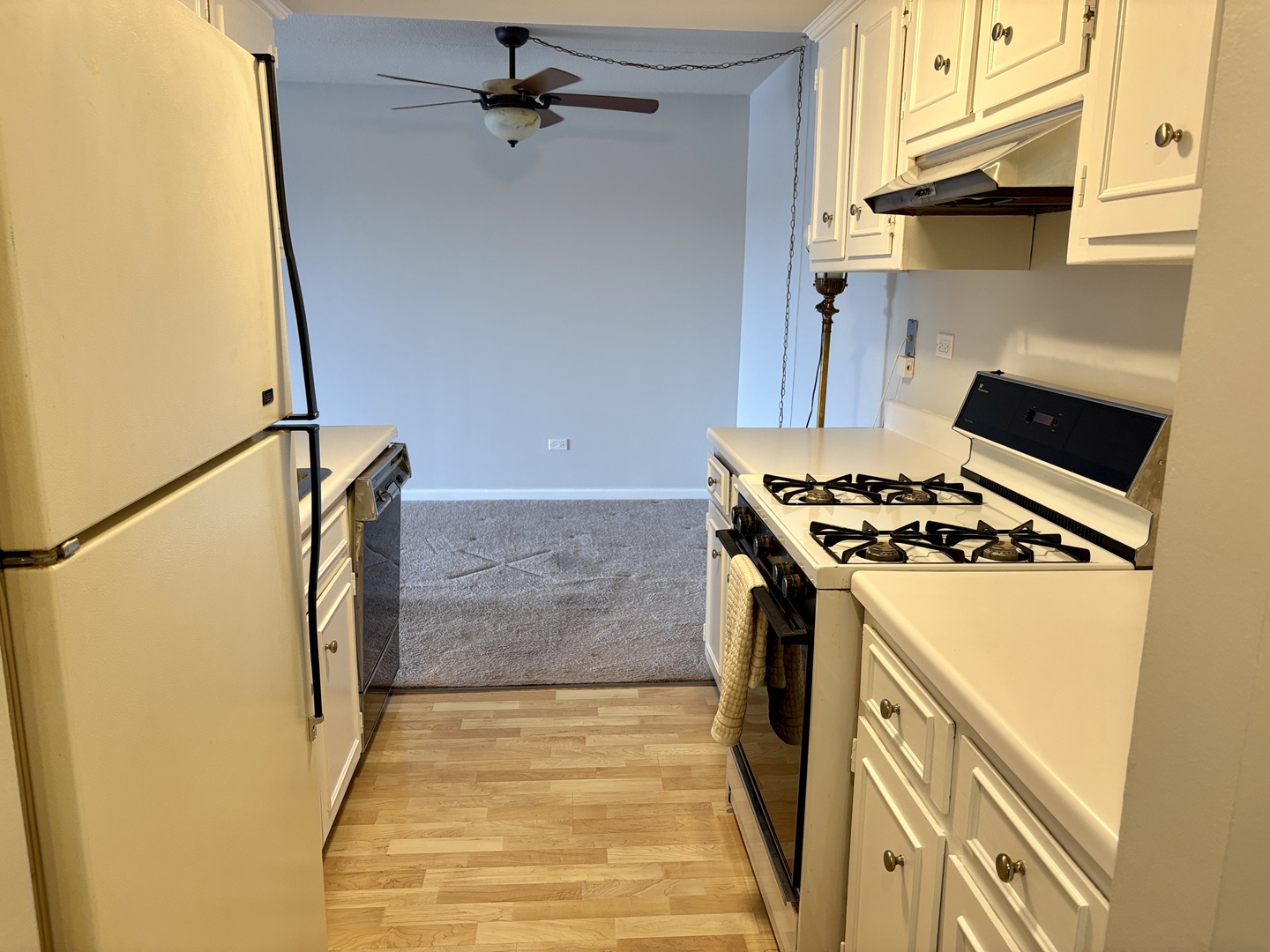 505 Redondo Drive #407, Downers Grove, IL 60516