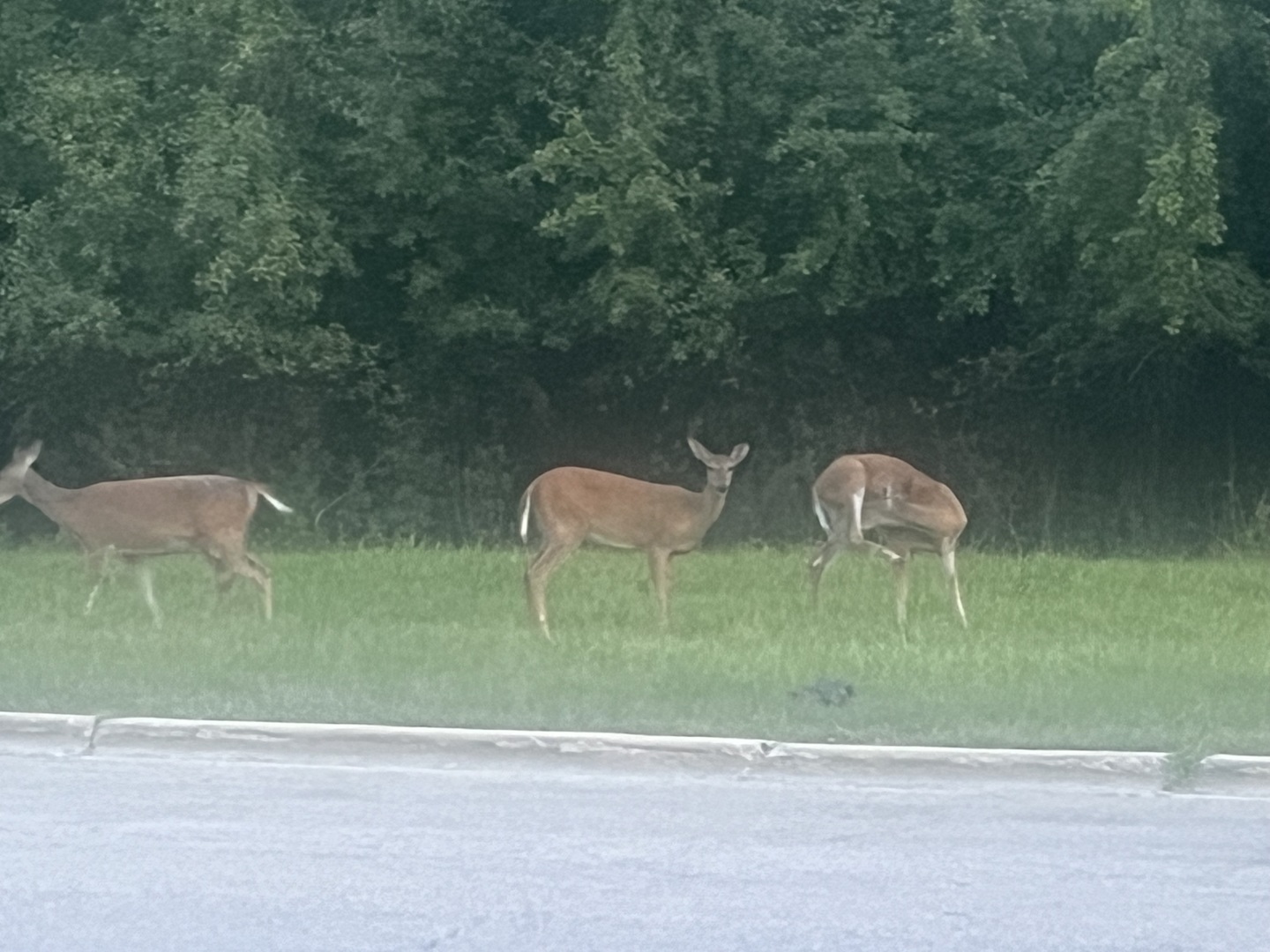 2222 S 15th Avenue, North Riverside, IL 60546