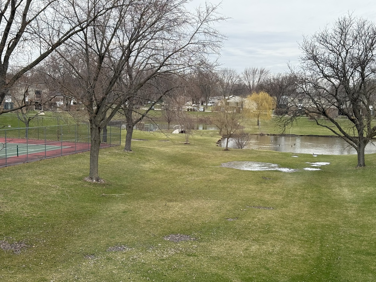 420 74th Street #204, Downers Grove, IL 60516