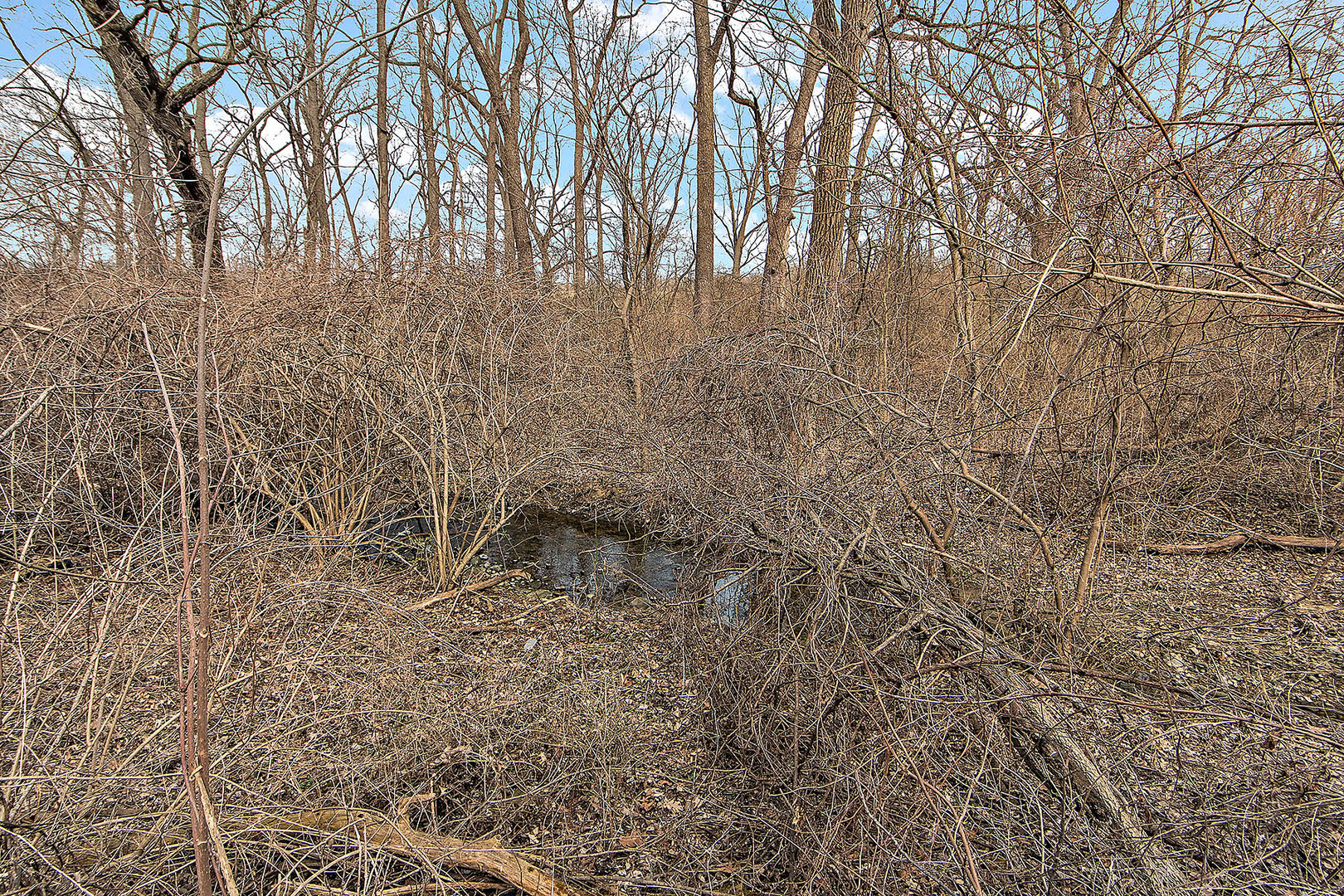 Vacant S High Road, Lockport, IL 60441