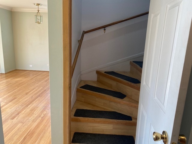 312 N Reuter Drive, Arlington Heights, IL 60005