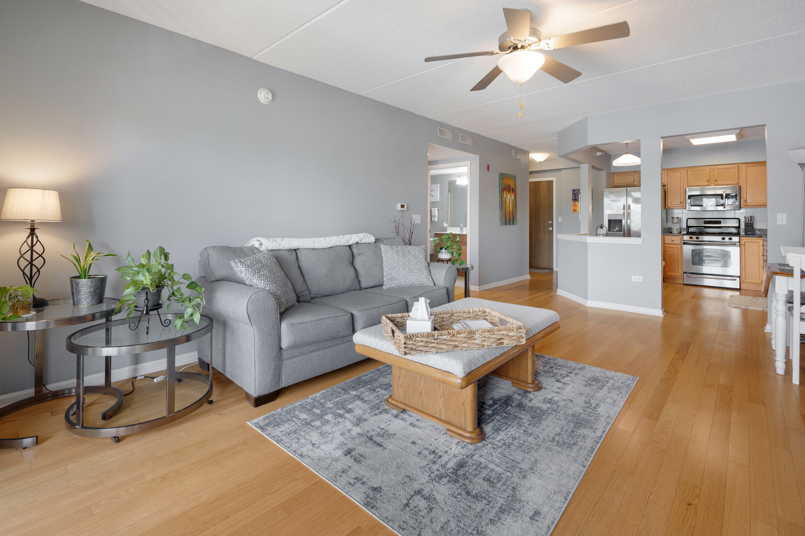 225 Main Street #216, Roselle, IL 60172