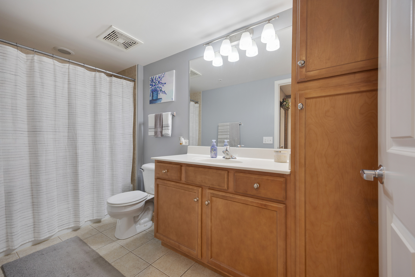 225 Main Street #216, Roselle, IL 60172