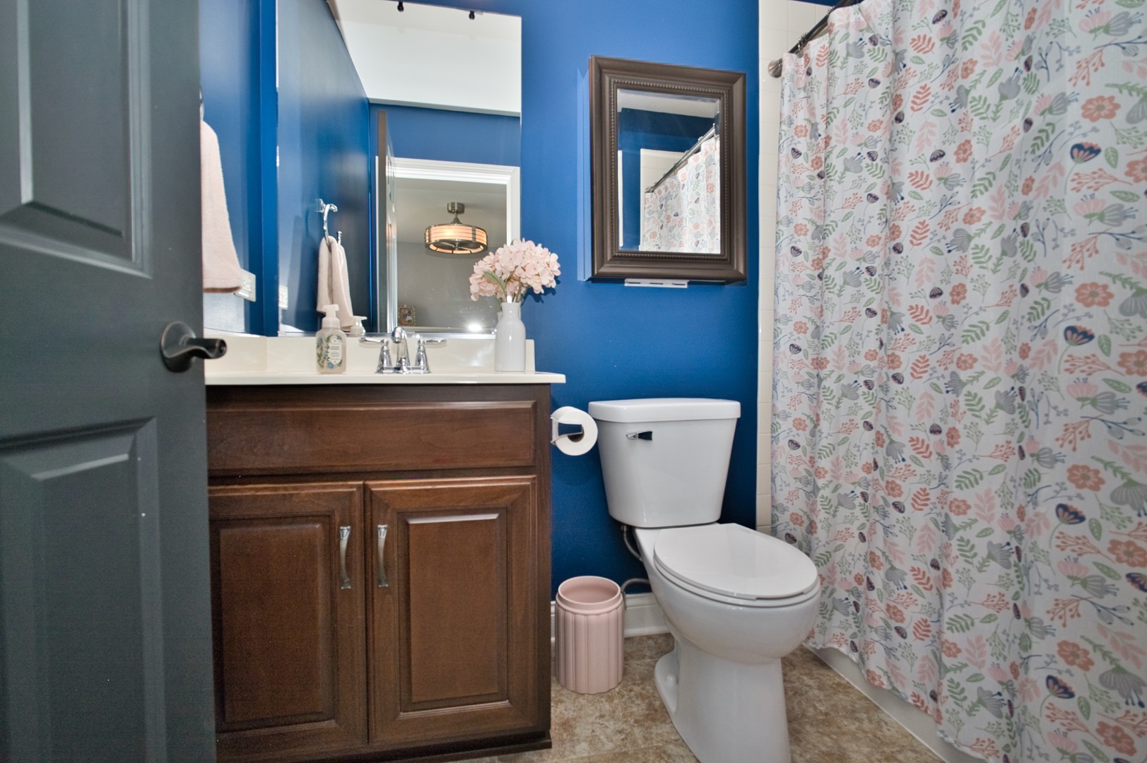 10 Raes Creek Court, Bolingbrook, IL 60490