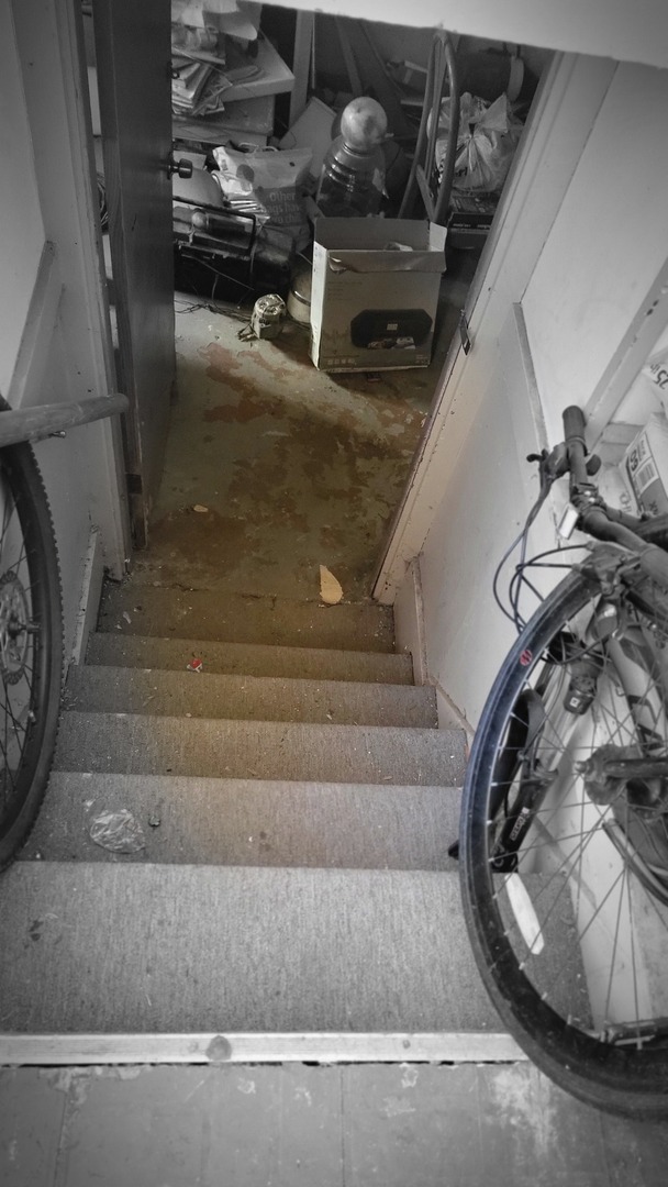 6220 N Talman Avenue, Chicago, IL 60659