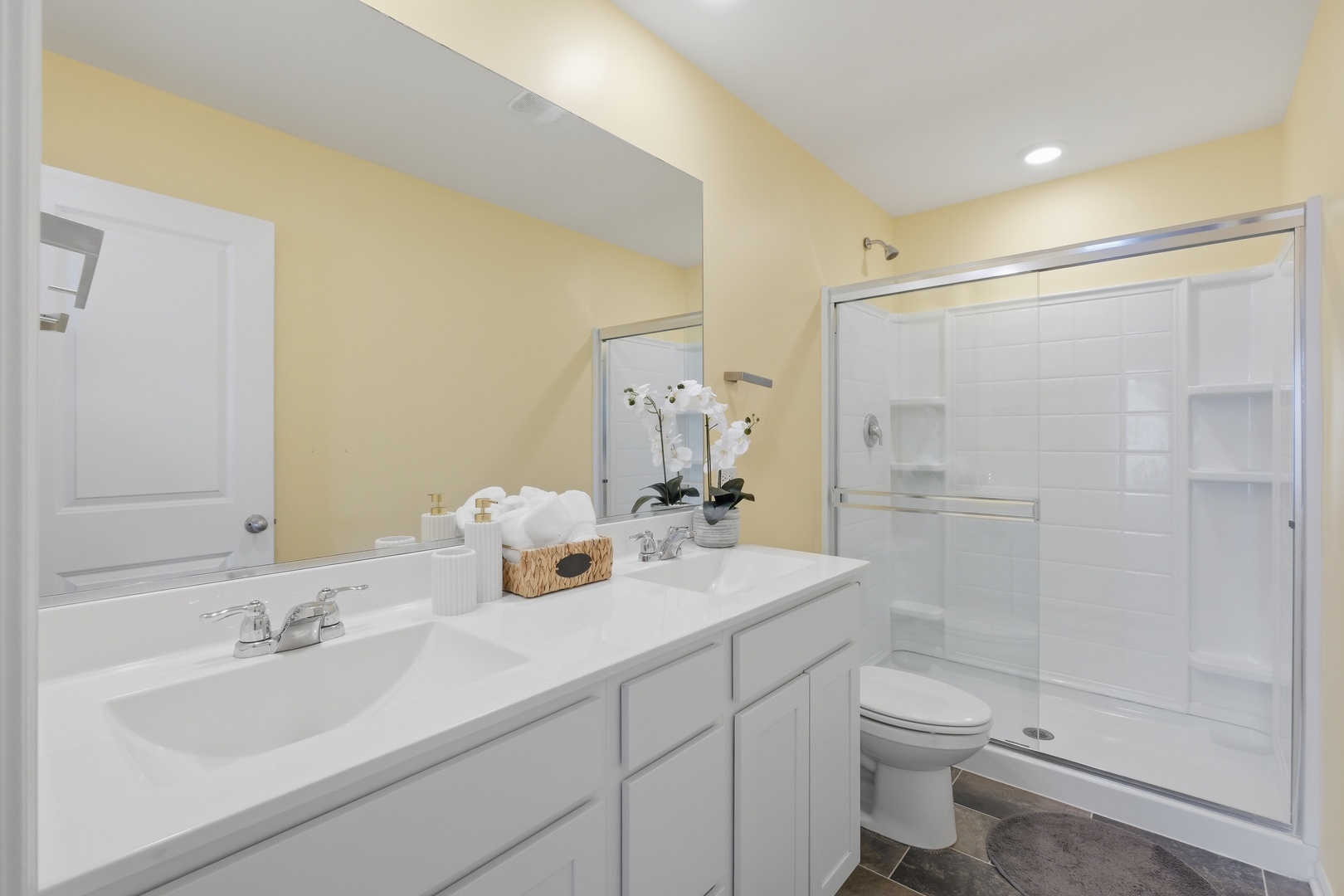 217 Goldenrod Drive, Elgin, IL 60124