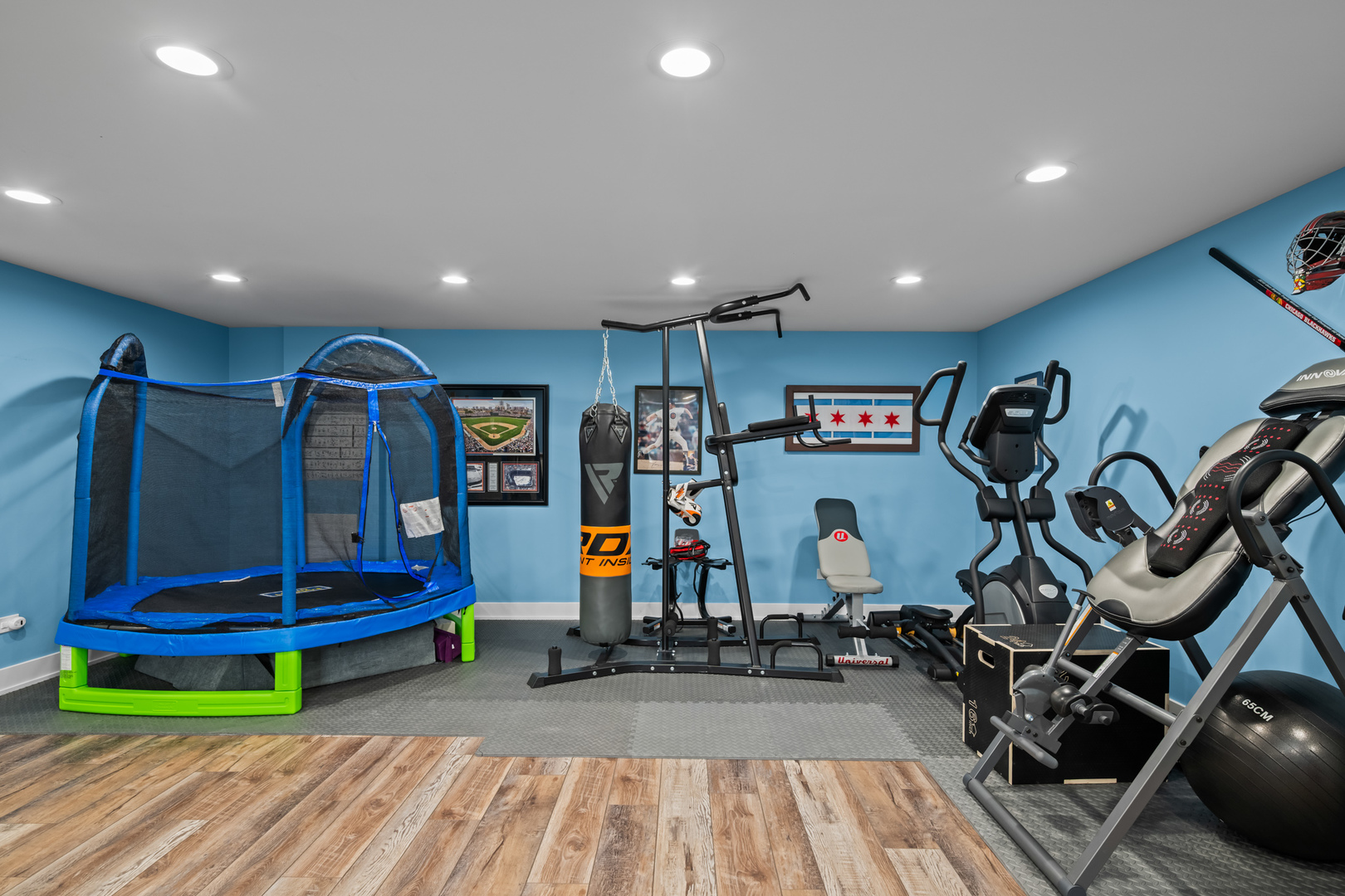 627 Buckthorn Terrace, Buffalo Grove, IL 60089