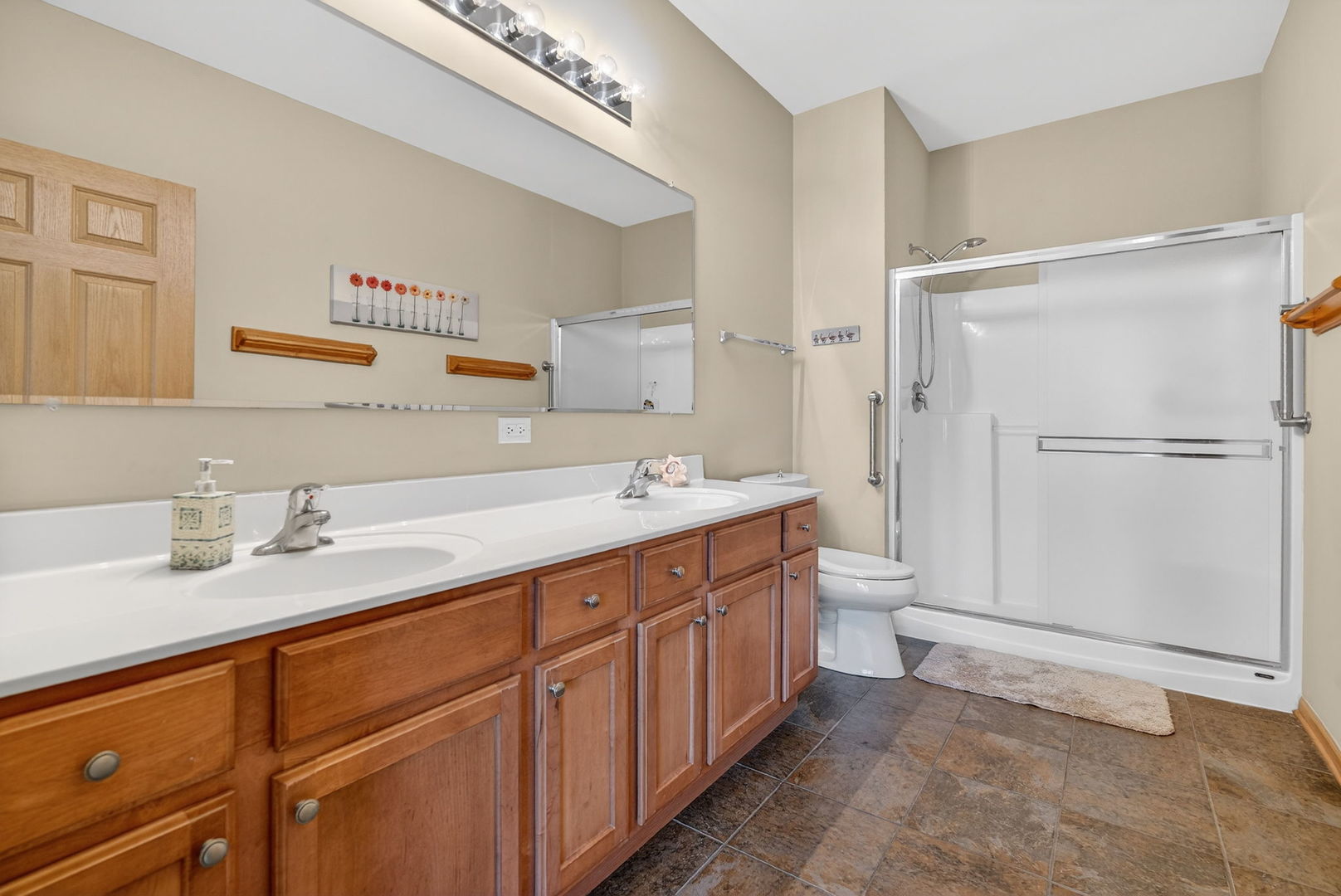 507 Homeview Drive, Oswego, IL 60543