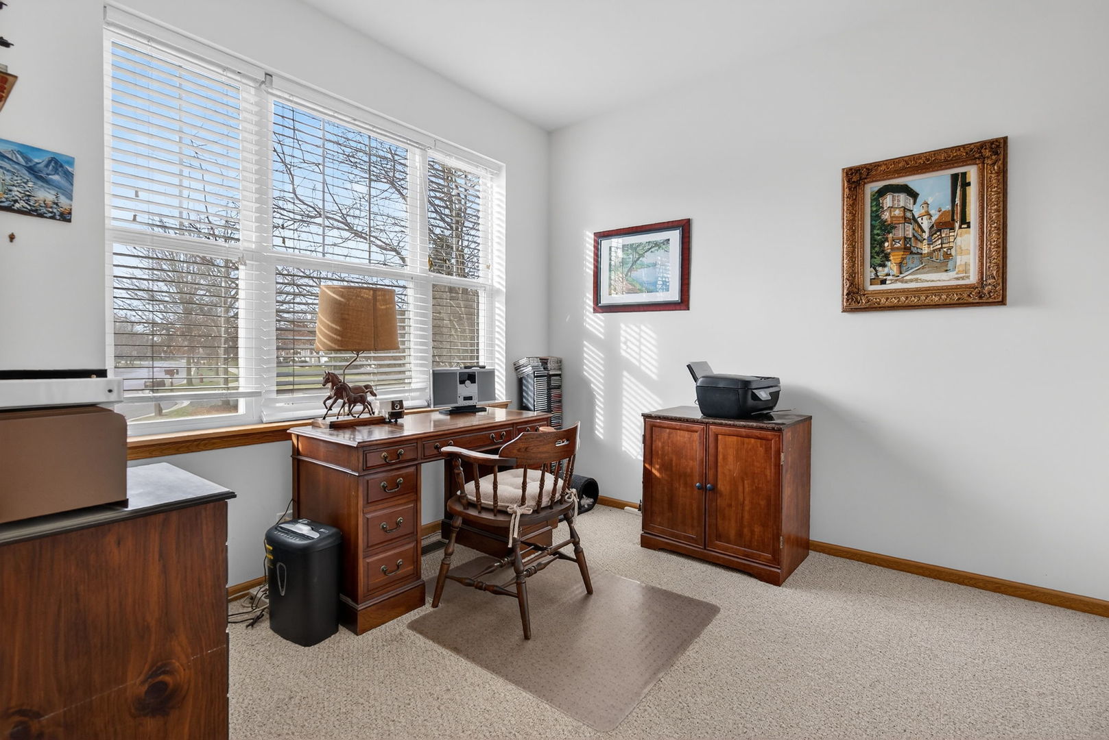 507 Homeview Drive, Oswego, IL 60543