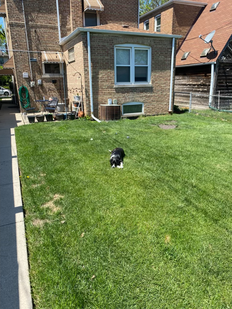 11419 S Fairfield Avenue, Chicago, IL 60655