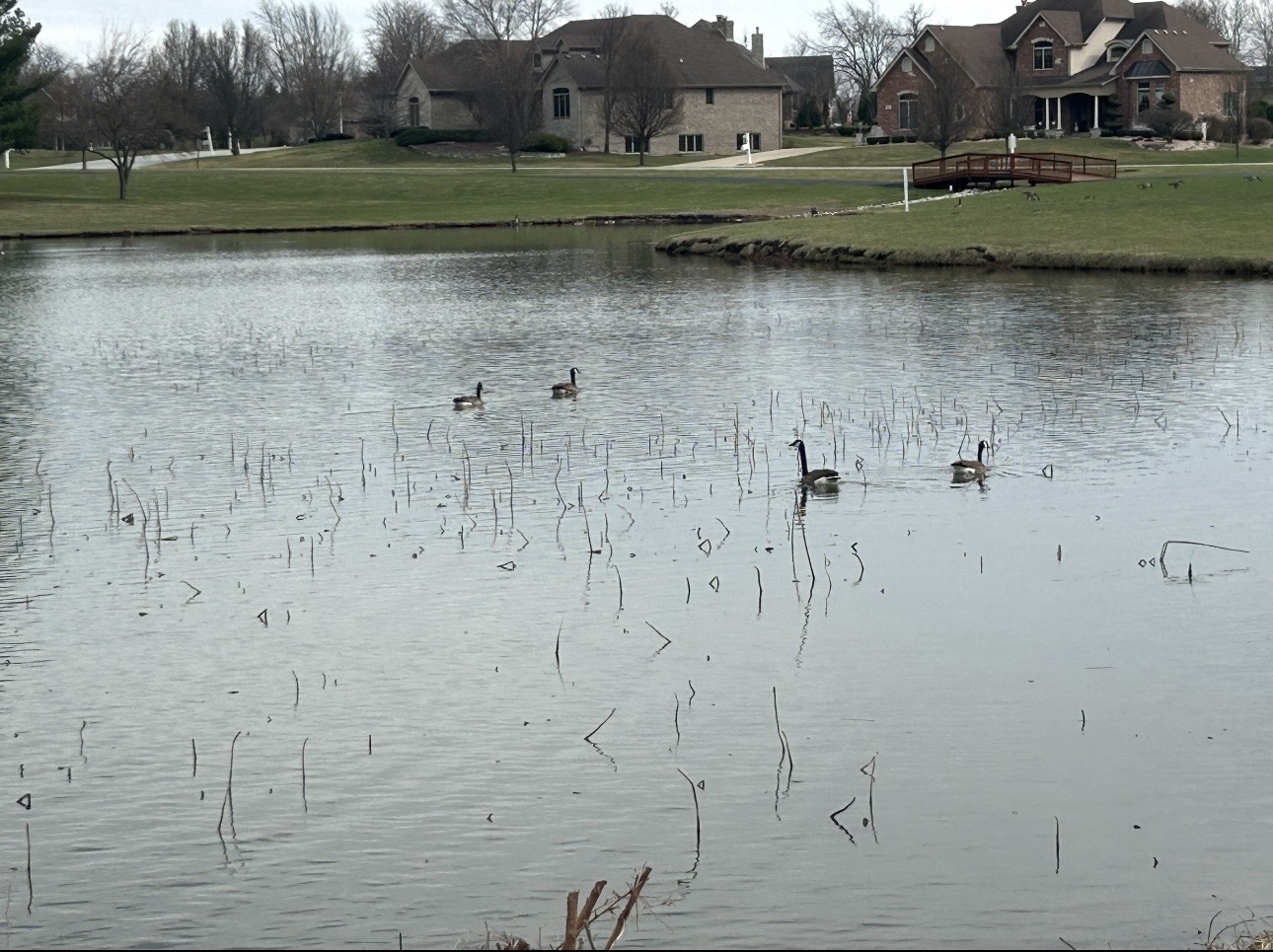 25306 S Tuscany West Drive, Monee, IL 60449