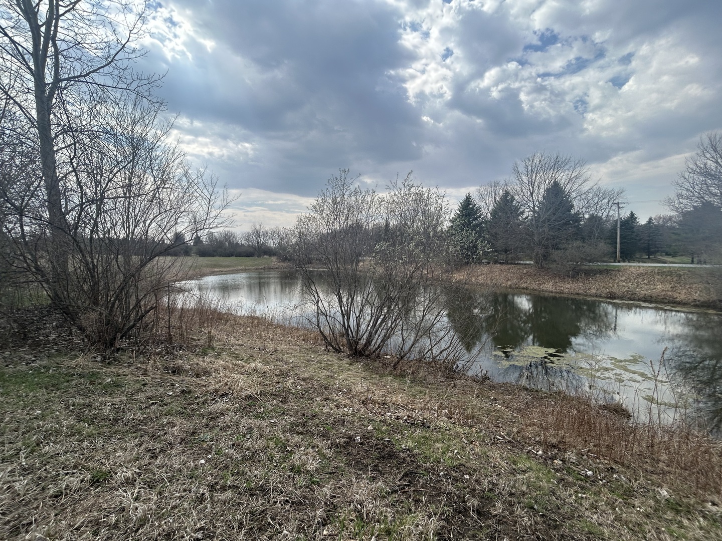 25306 S Tuscany West Drive, Monee, IL 60449