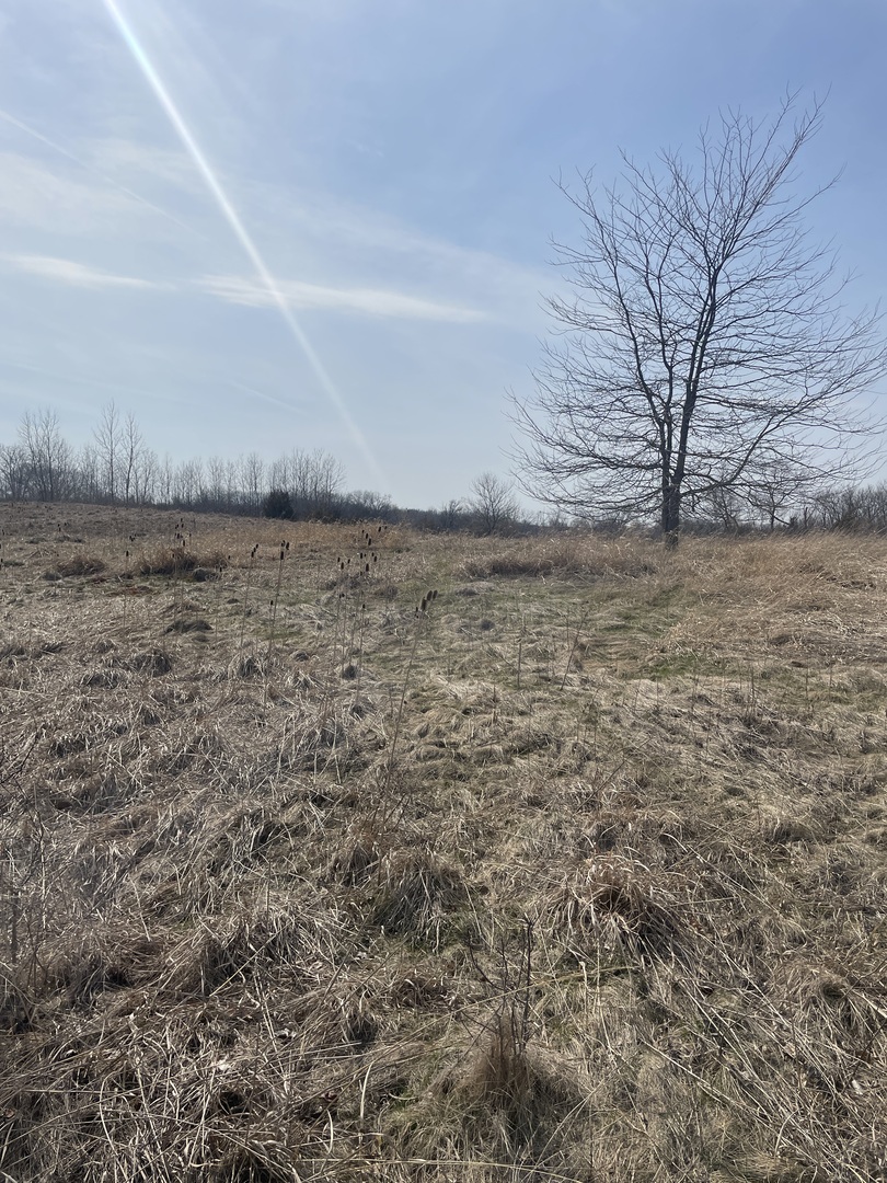 1055 E Grand Avenue, Lindenhurst, IL 60046