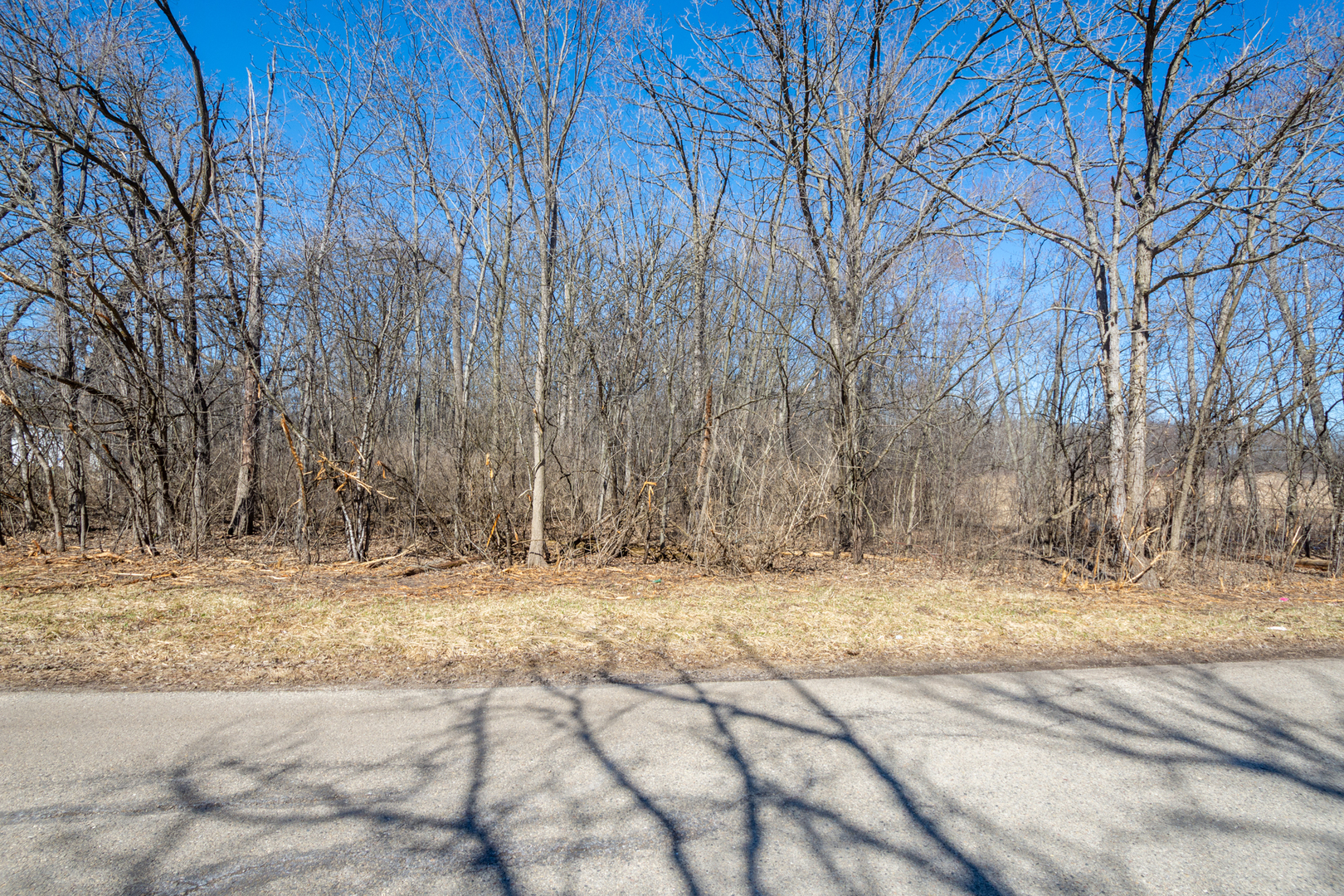 Lots 1 & 2 73rd Street, Salem, WI 53168