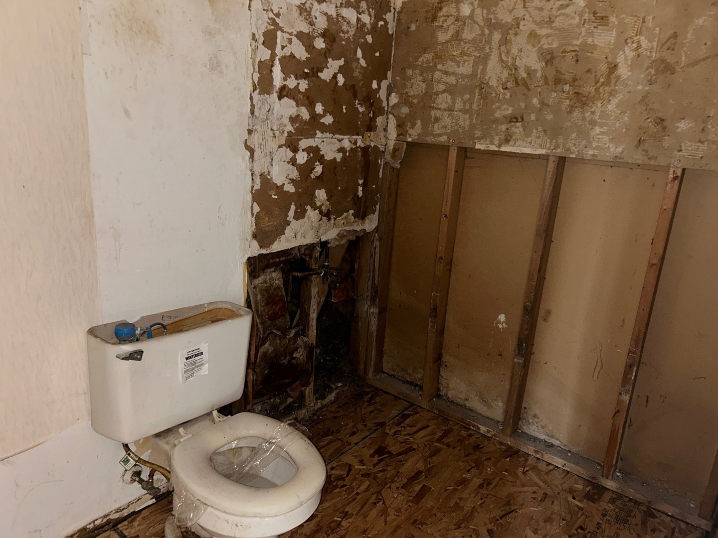 784 Delmar Court #5, University Park, IL 60484