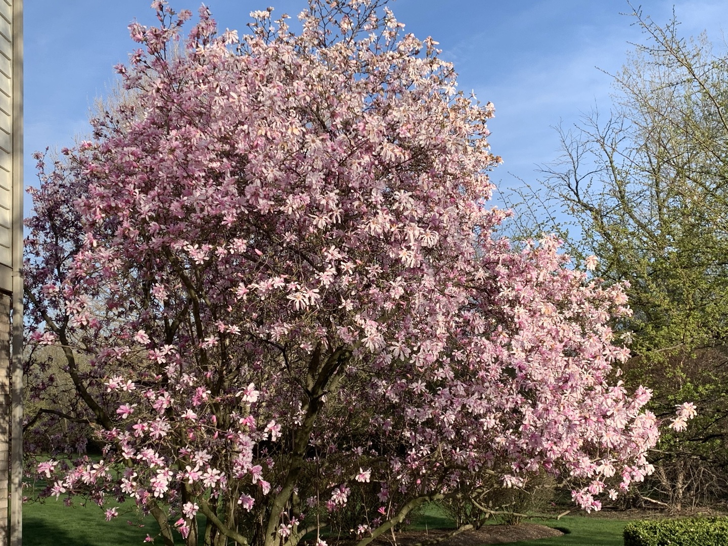 31470 N Reigate Lane, Libertyville, IL 60048