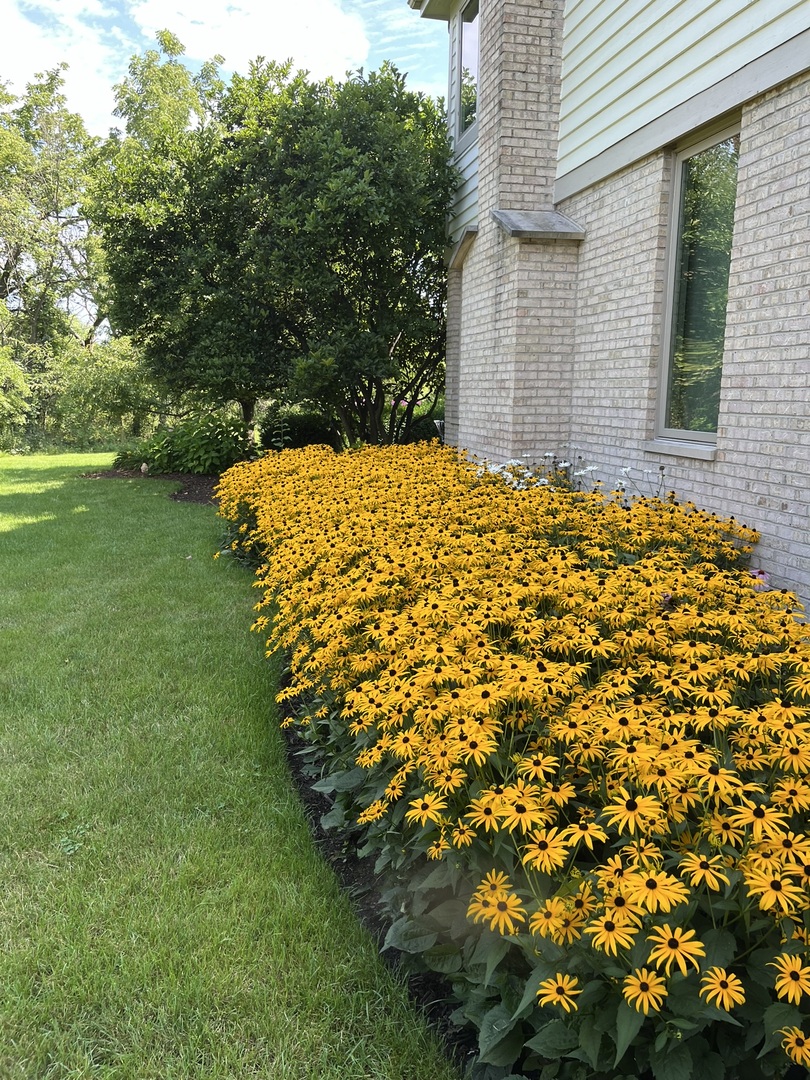 31470 N Reigate Lane, Libertyville, IL 60048