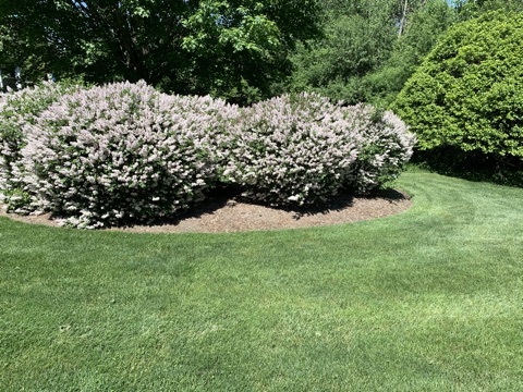 31470 N Reigate Lane, Libertyville, IL 60048