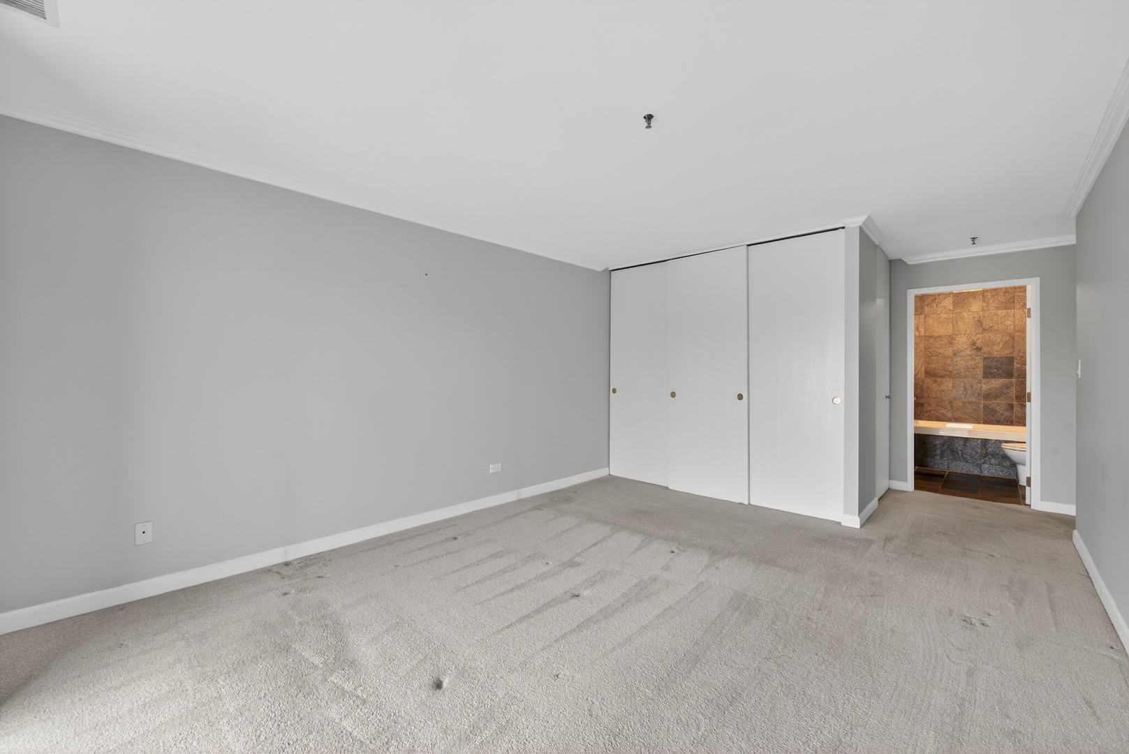 110 S Evergreen Avenue #5CN, Arlington Heights, IL 60005