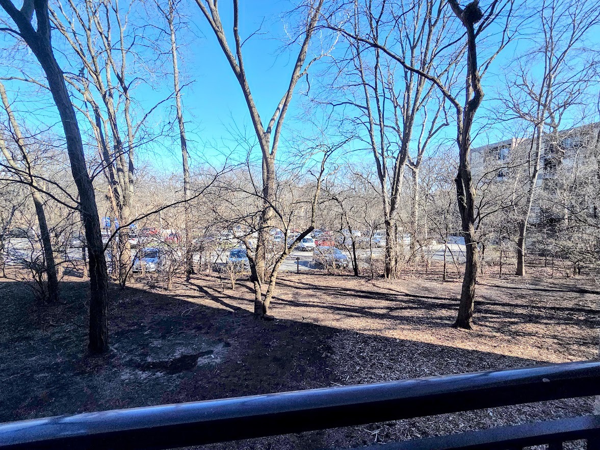 5950 Oakwood Drive #2D, Lisle, IL 60532