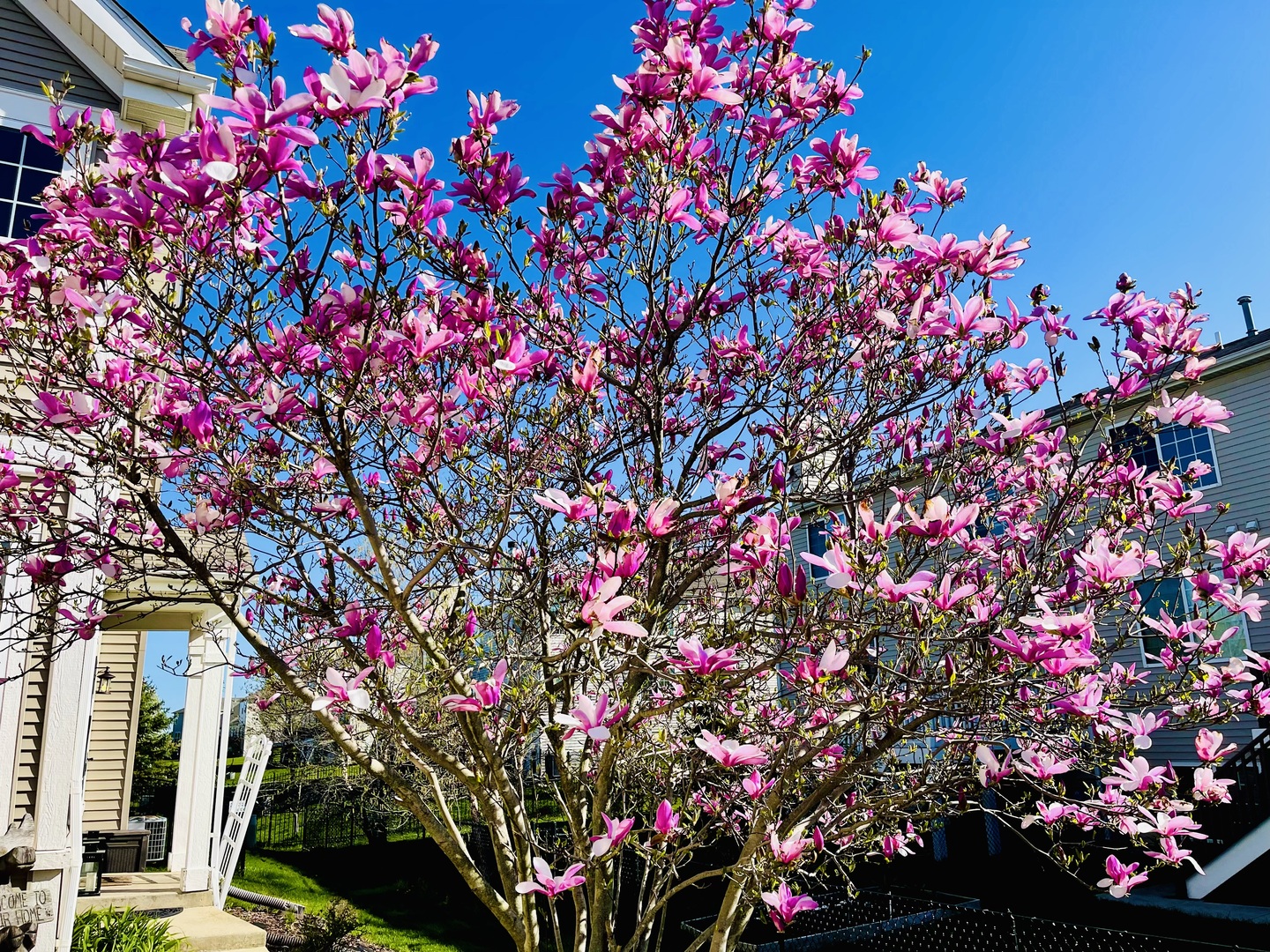 1064 Hampton Lane, Yorkville, IL 60560