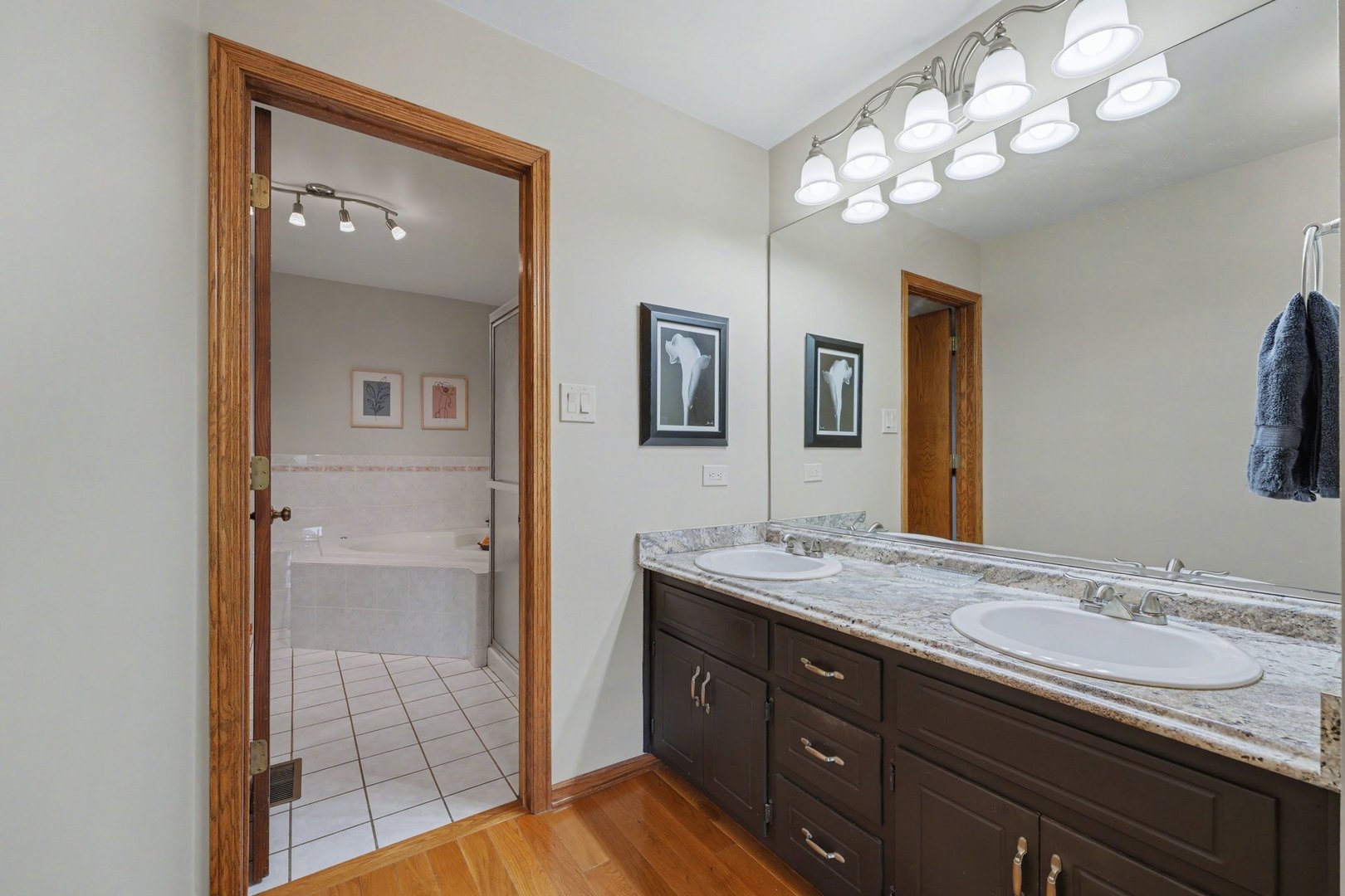 8027 Enclave Lane, Tinley Park, IL 60487