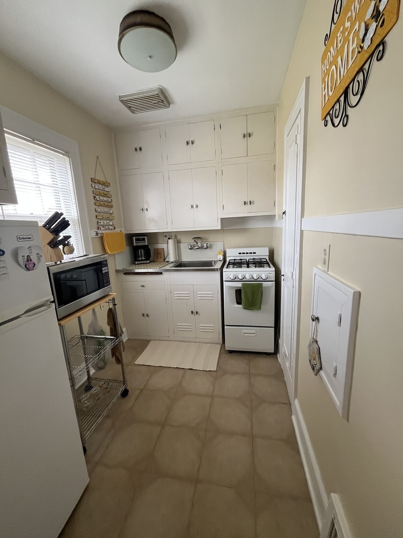 206 OAK Street #1R, Elgin, IL 60123