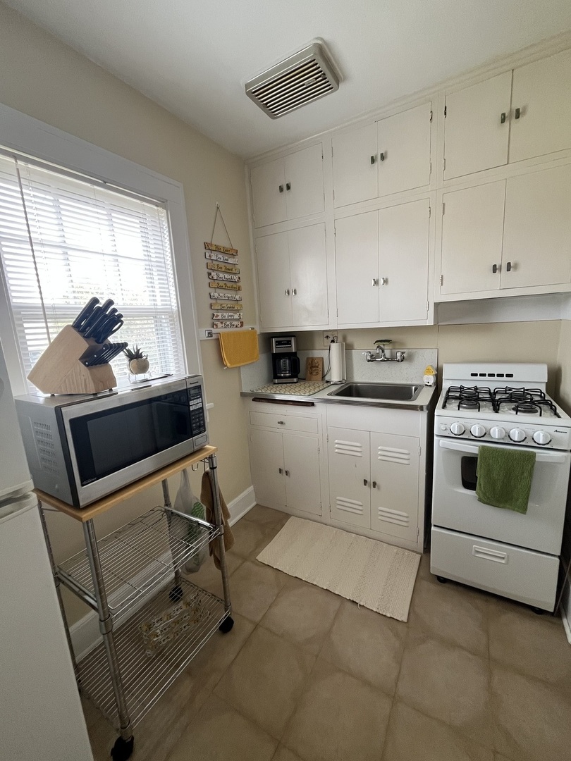 206 OAK Street #1R, Elgin, IL 60123