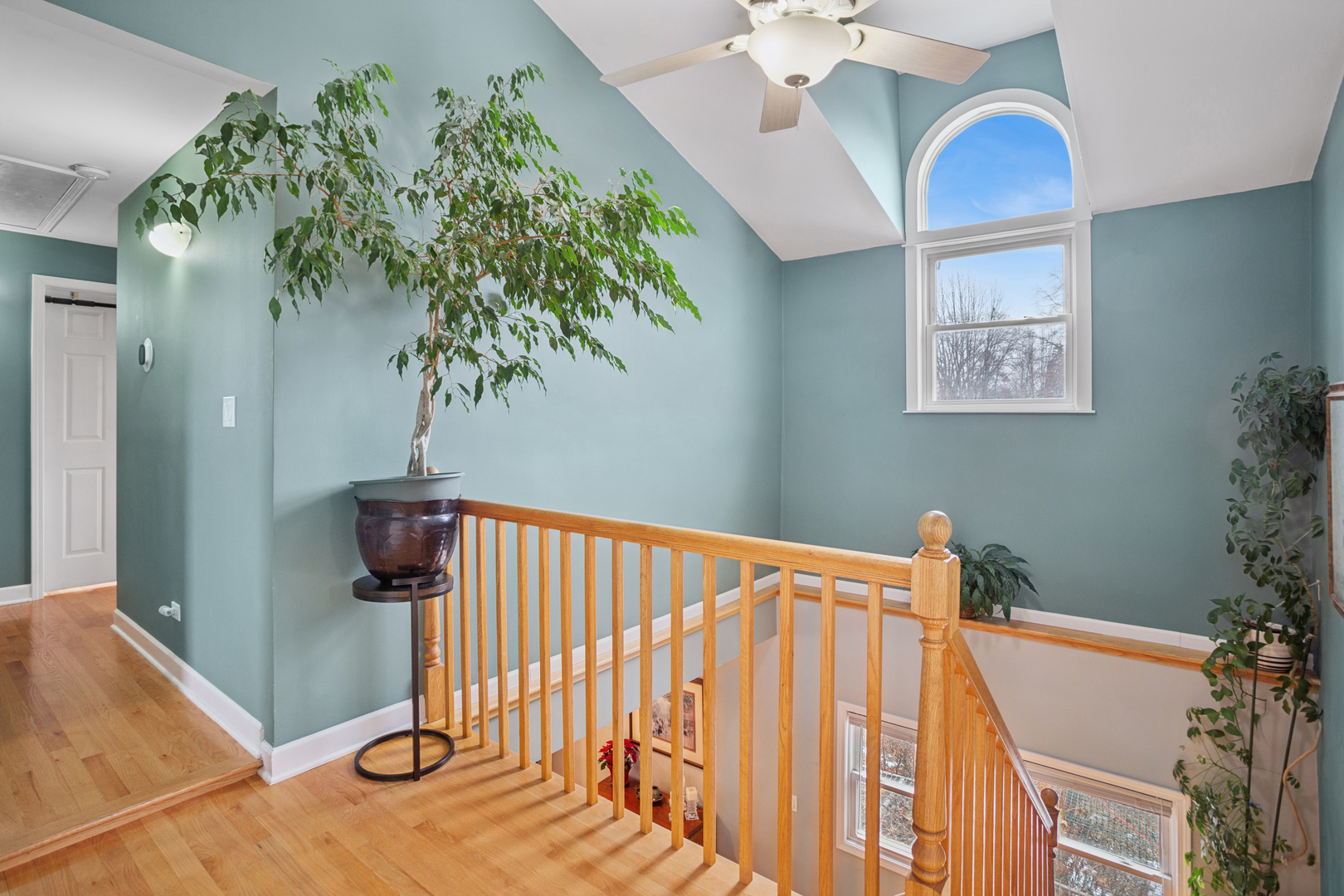 420 Radcliffe Avenue, Des Plaines, IL 60016