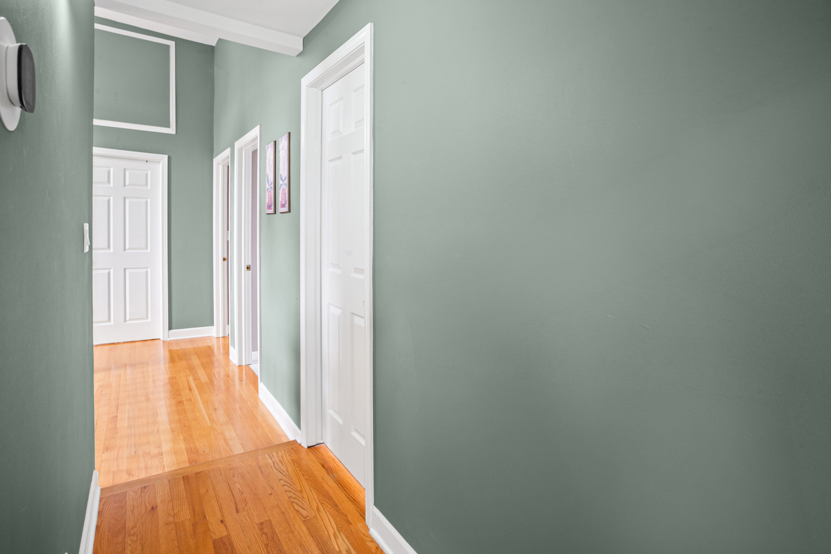 420 Radcliffe Avenue, Des Plaines, IL 60016