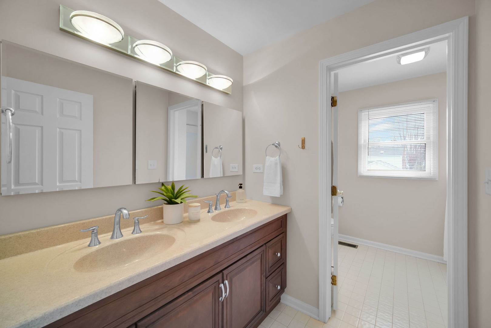 1641 Lois Ann Lane, Naperville, IL 60563