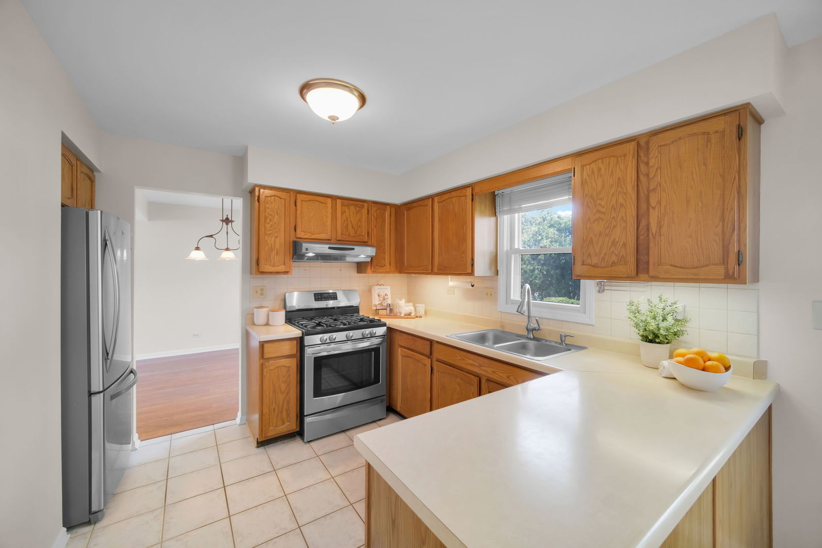 1641 Lois Ann Lane, Naperville, IL 60563