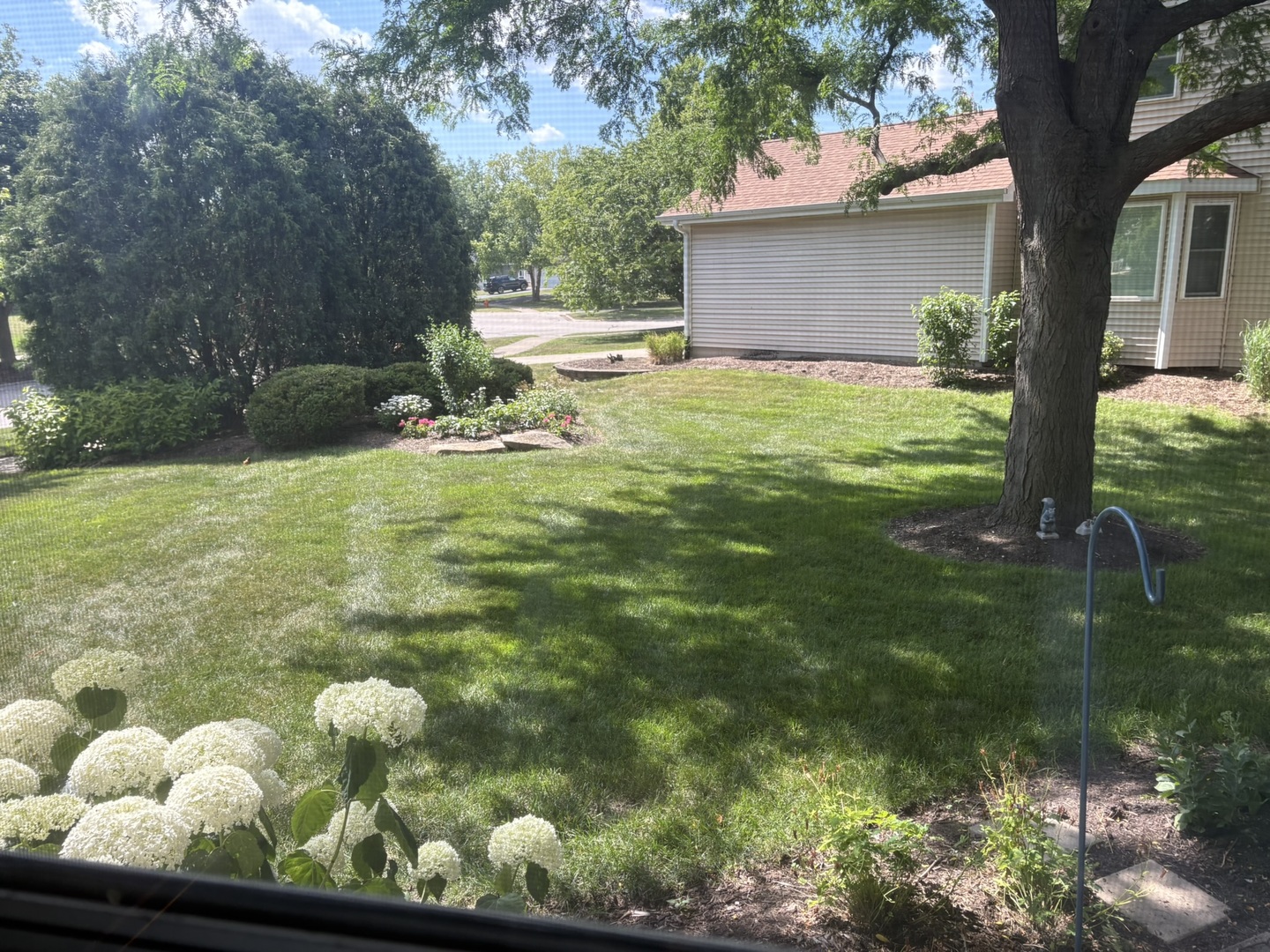 1641 Lois Ann Lane, Naperville, IL 60563