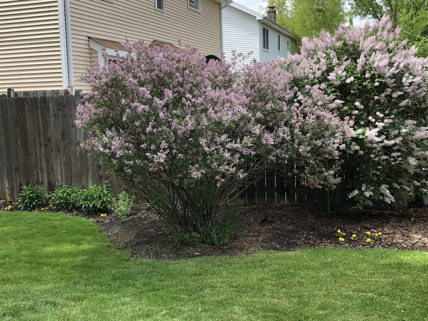 1641 Lois Ann Lane, Naperville, IL 60563