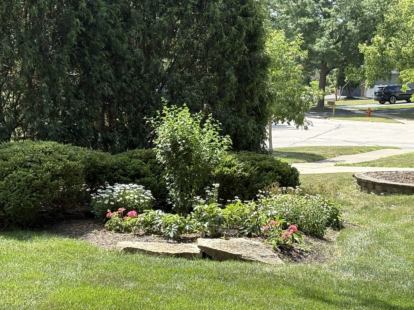 1641 Lois Ann Lane, Naperville, IL 60563