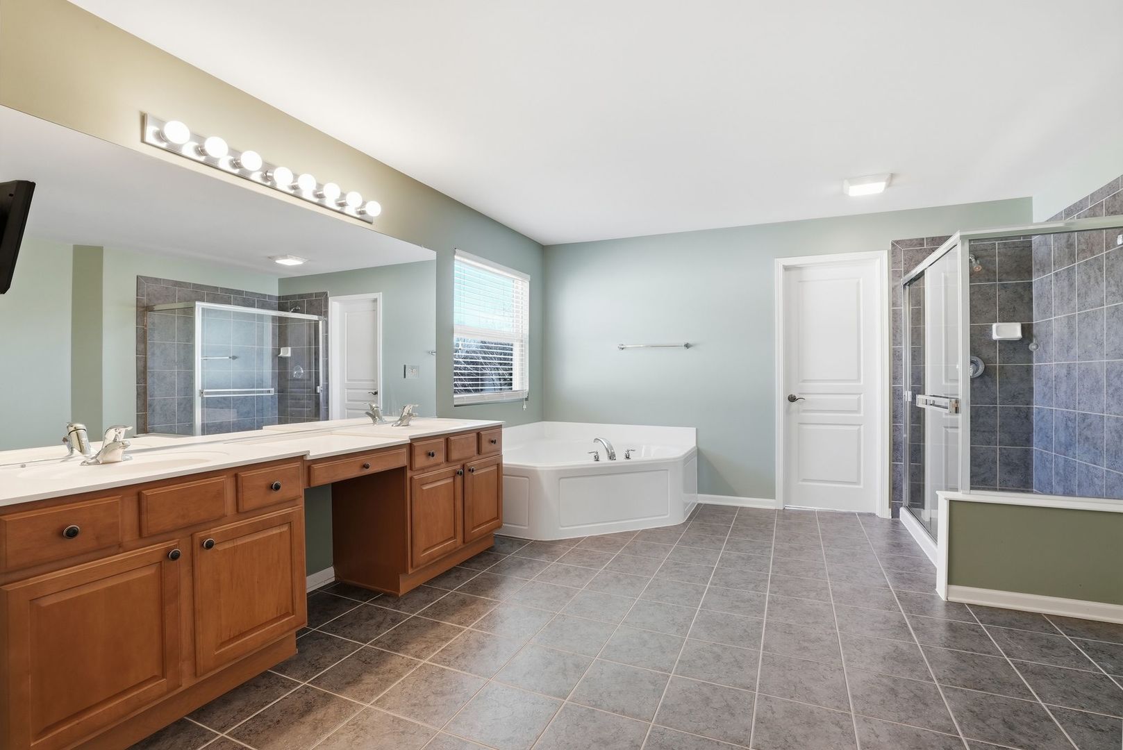 12312 BLUE IRIS Lane, Plainfield, IL 60585